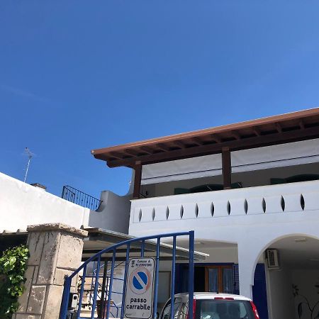 Il Girasole Apartment ตอร์เรเดลลอร์โซ ภายนอก รูปภาพ